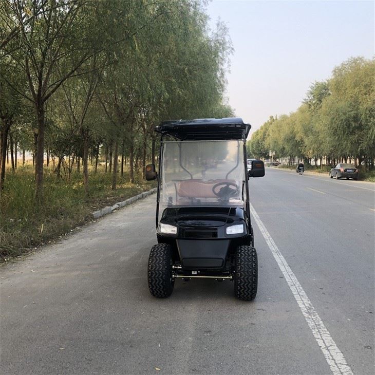 Electric Sightseeing Golf Cart