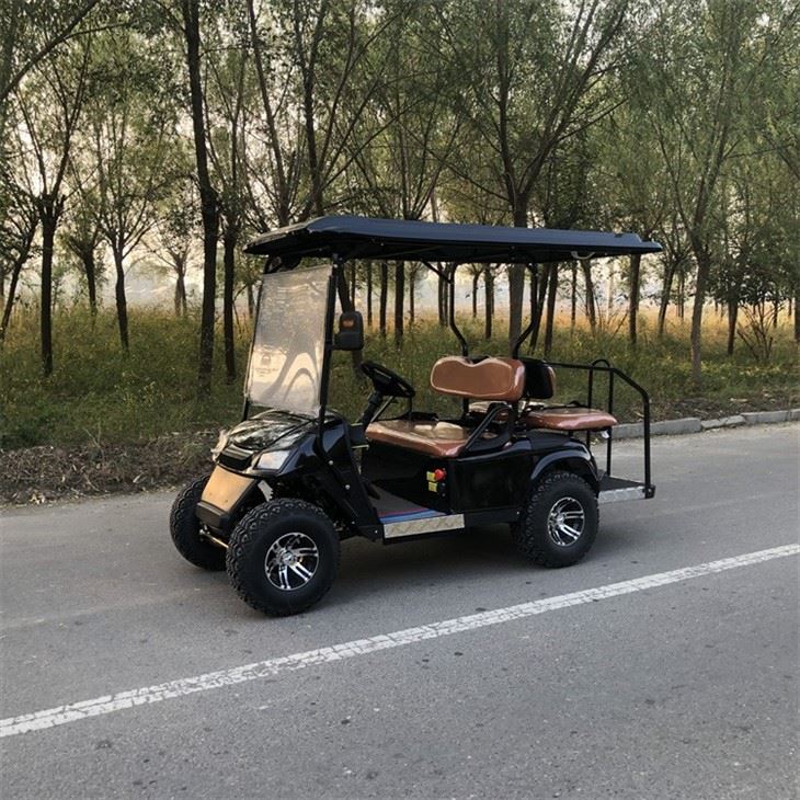 Electric Sightseeing Golf Cart