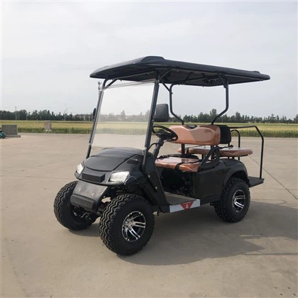 Carrinho de golfe para veículos elétricos