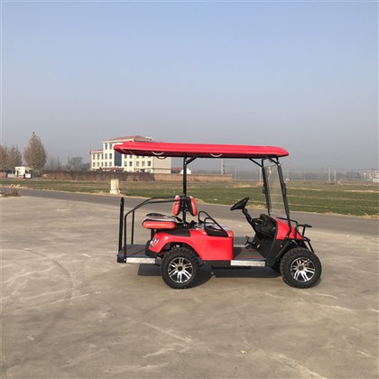 Carrinho de golfe turístico